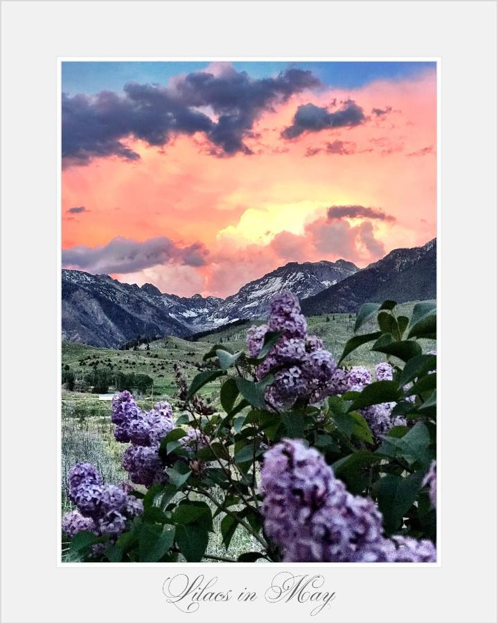 Pine Creek Cabin Livingston Montana Bagian luar foto