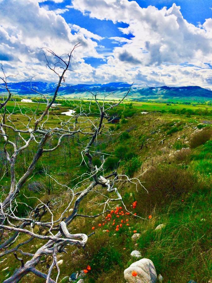 Pine Creek Cabin Livingston Montana Bagian luar foto