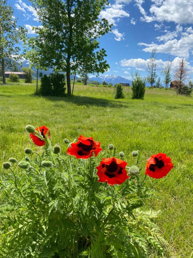 Pine Creek Cabin Livingston Montana Bagian luar foto