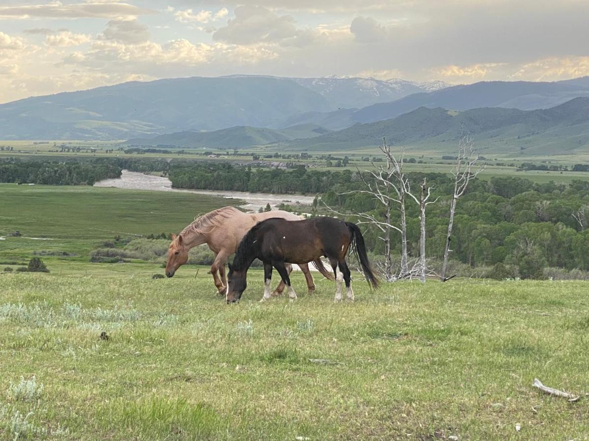 Pine Creek Cabin Livingston Montana Bagian luar foto