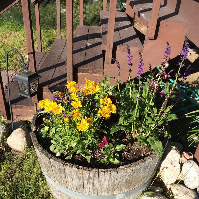 Pine Creek Cabin Livingston Montana Bagian luar foto