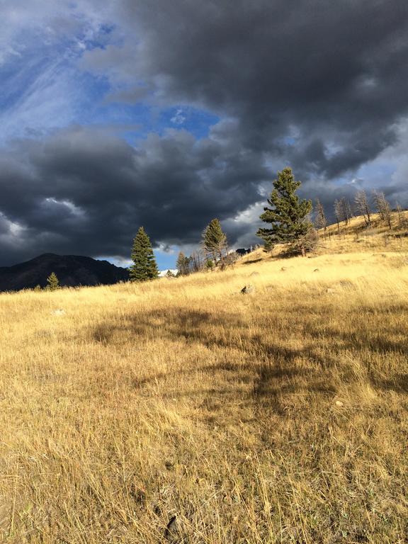 Pine Creek Cabin Livingston Montana Bagian luar foto